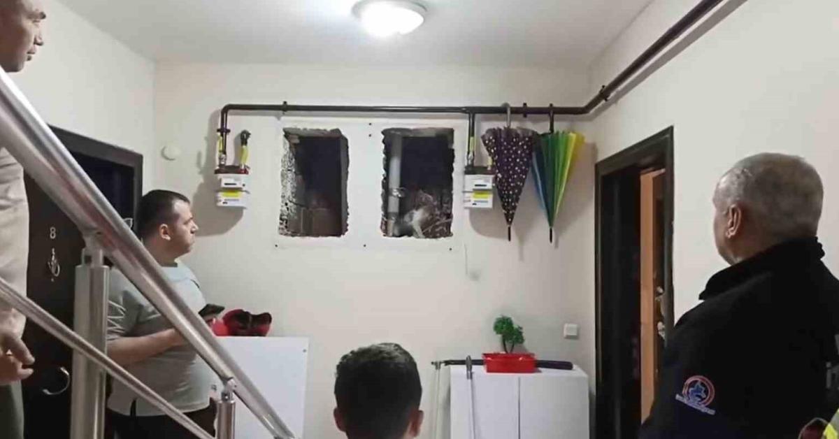 duzcede minik kahraman kediyi kurtardi Nw2uQvLL.jpg