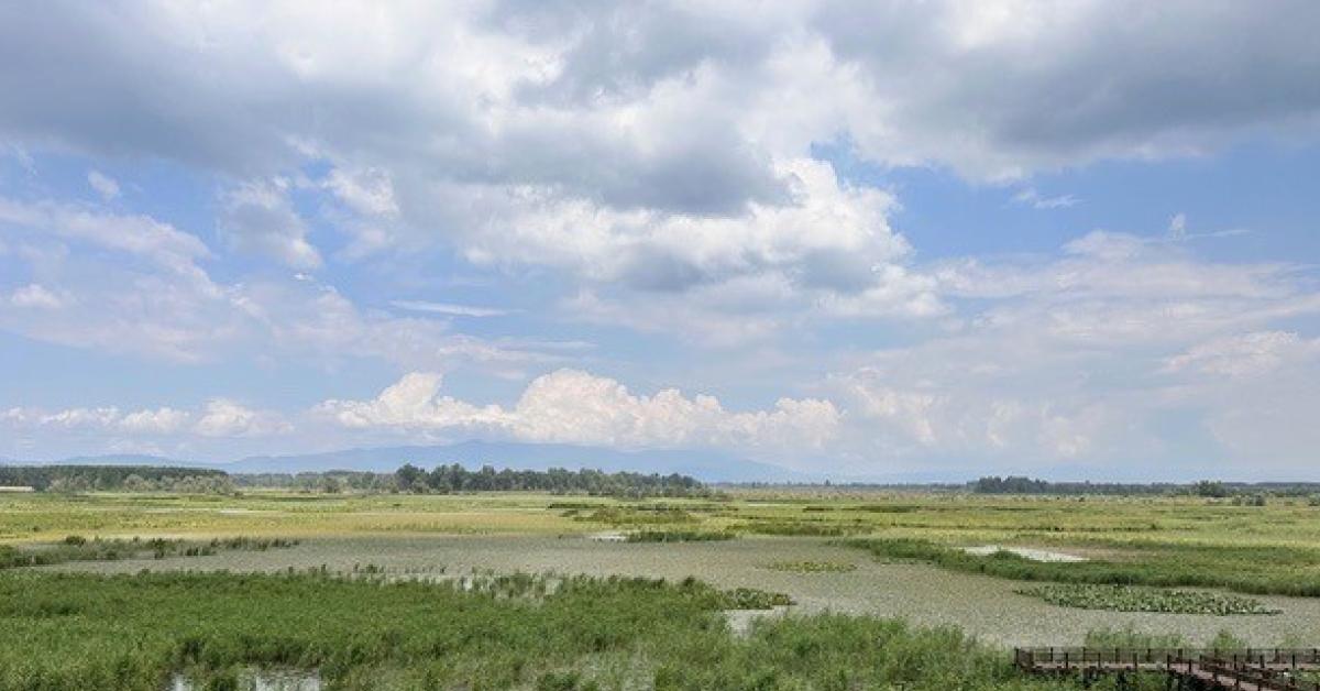 duzcenin su kaynaklarinda agir metal tehlikesi Yp93fqjL.jpg