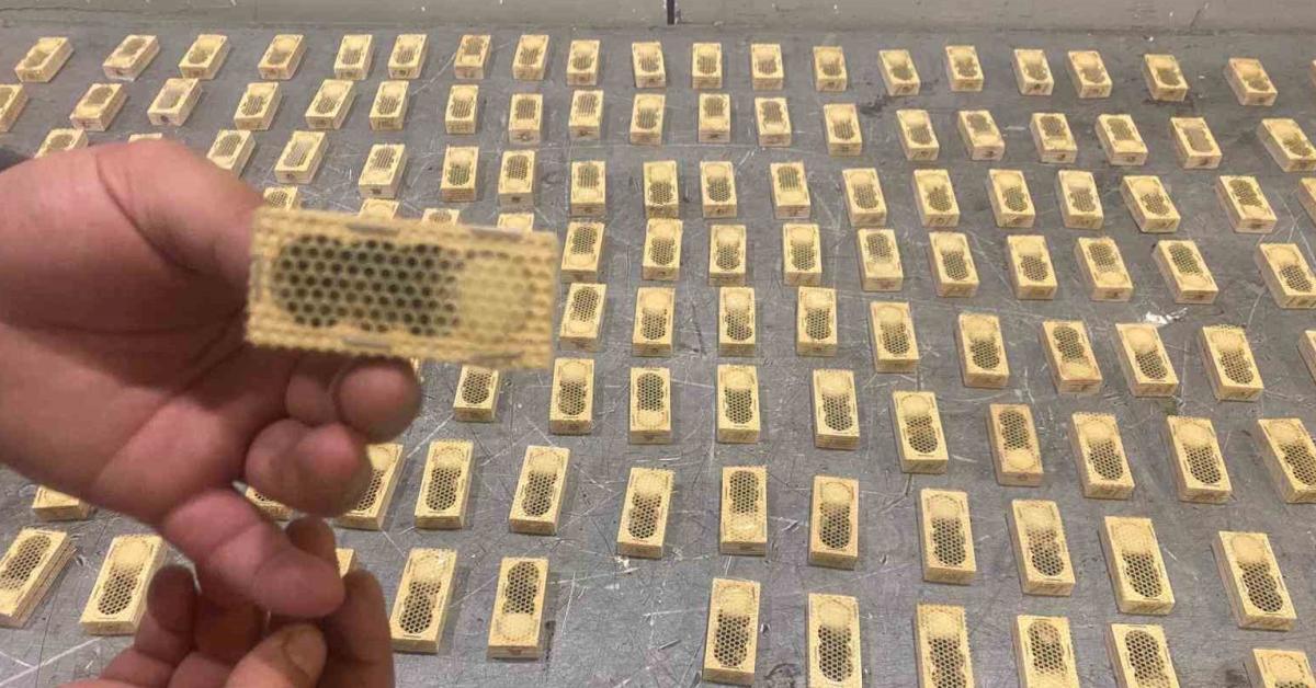 gumruk muhafazadan kacak hayvan ticaretine darbe zuIWJpDX.jpg