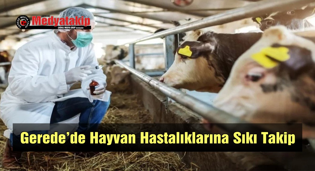 hayvan hastalık