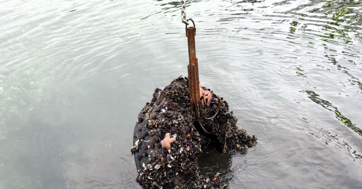 kocaelide denizden 50 lastik cikti EXKCbPB8.jpg