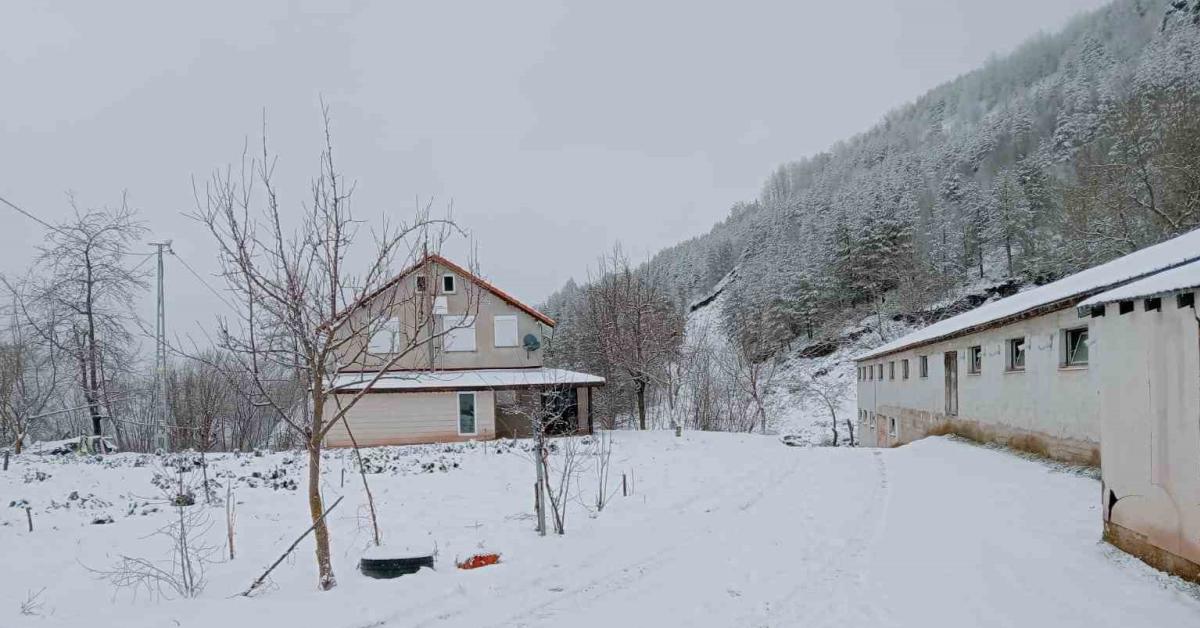 sakaryanin yuksekleri beyaza burundu ax27cs3u.jpg