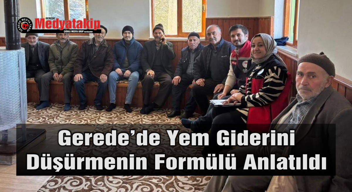 yem gideri azaltma