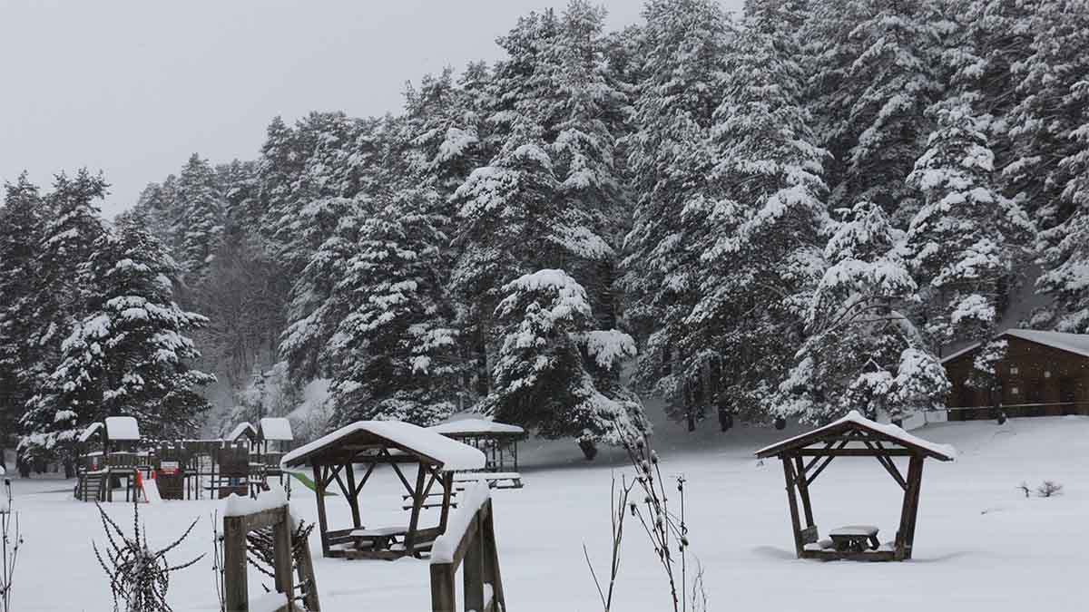 Abant Gölü Milli Parkı Kar