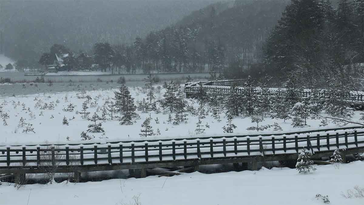 Abant Gölü Milli Parkı Kış