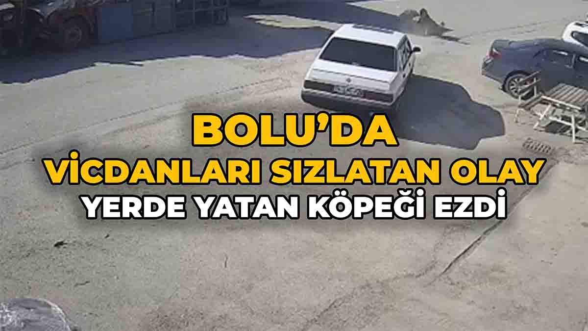 Bolu’da Vicdanları Sızlatan Olay