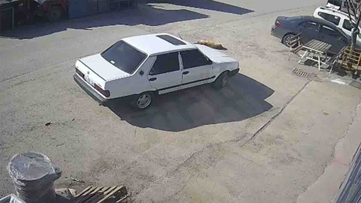 Bolu’da Vicdanları Sızlatan Olay2