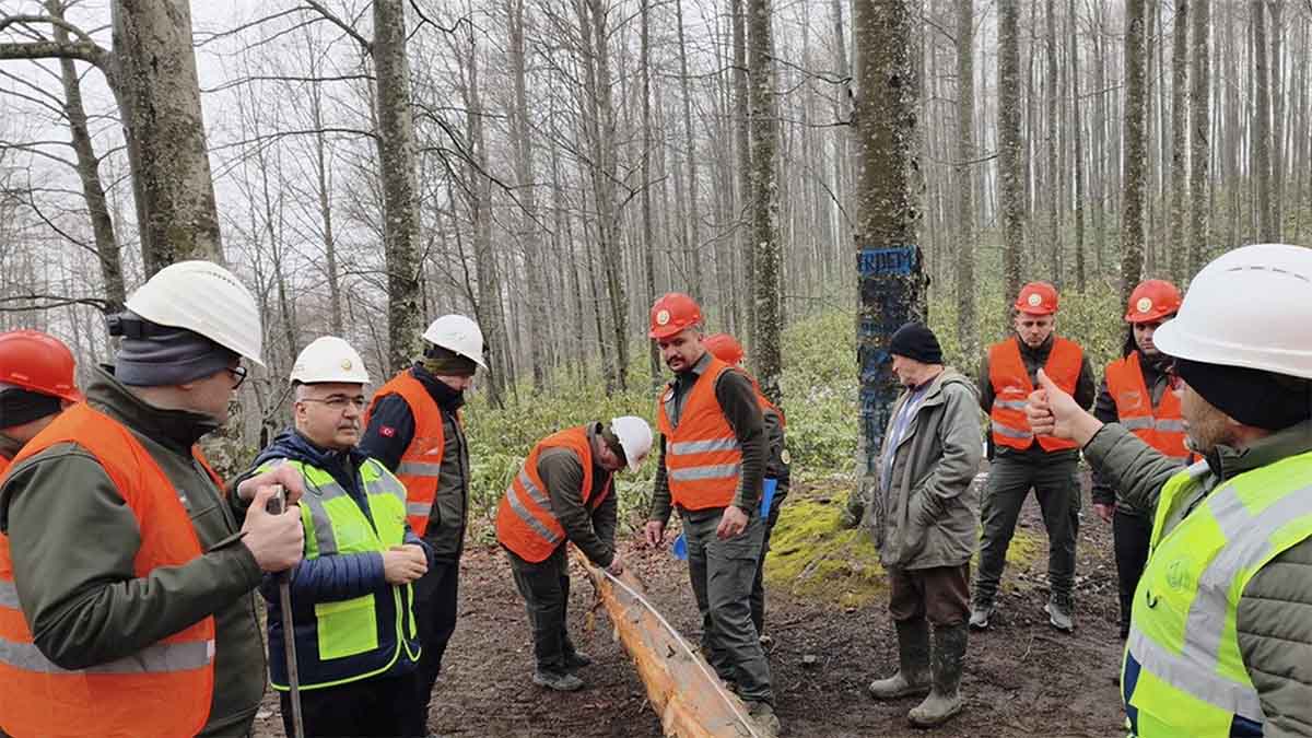 Düzce'de Orman Ekipleri Sahaya İndi