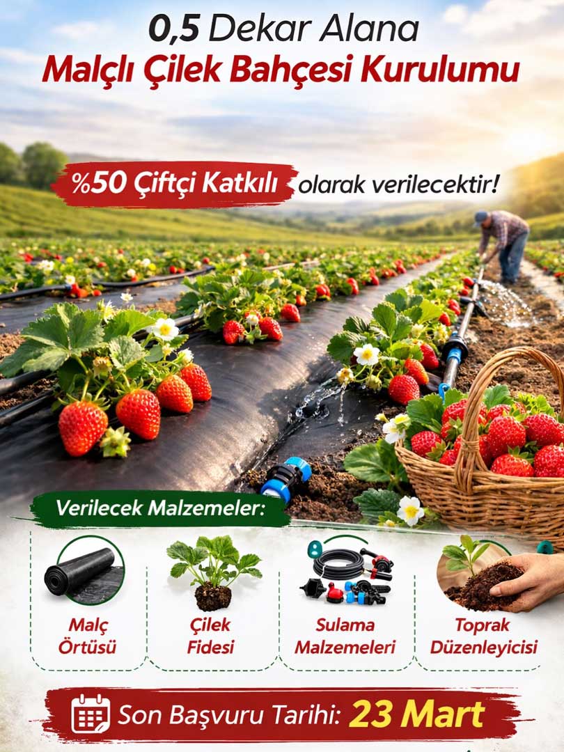 Gerede ilçe arım çilek destek