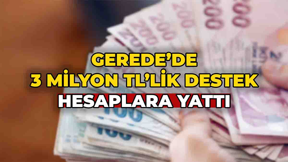 Gerede’de 3 Milyon TL’lik Destek Hesaplara Yattı