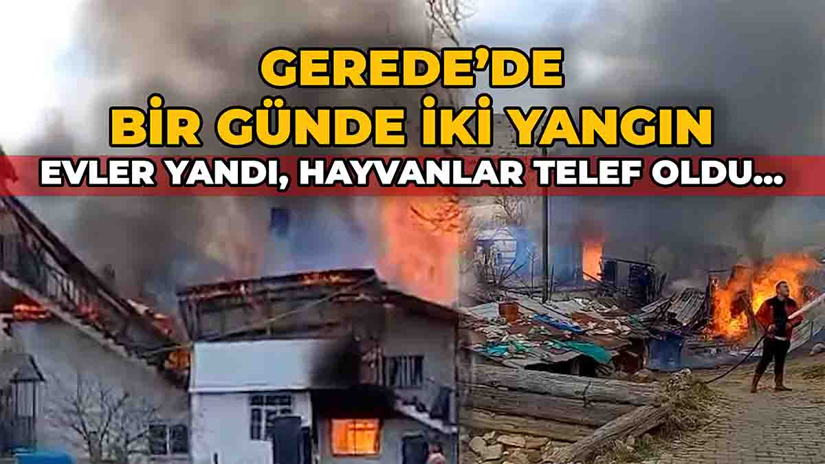 Gerede’de Bir Günde İki Yangın2