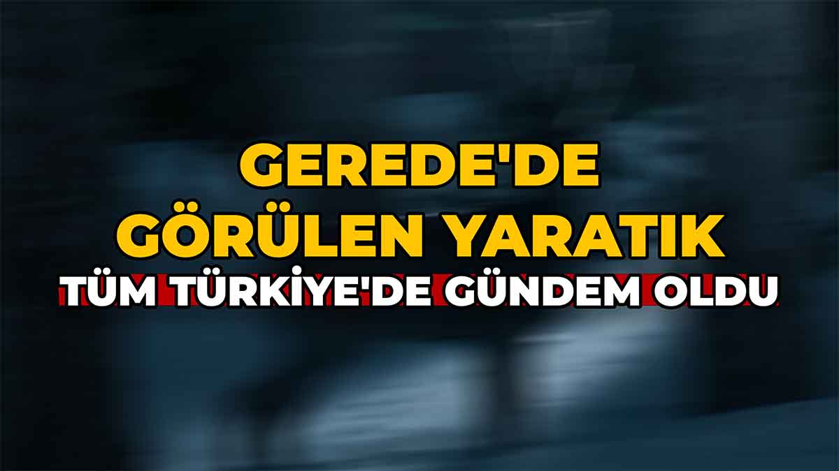 Gerede'de Görülen Yaratık Tüm Türkiye'de Gündem Oldu
