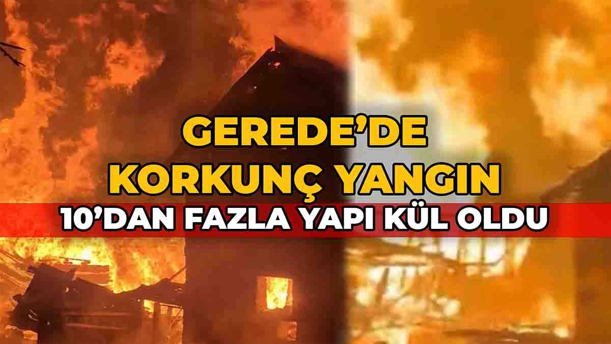 Gerede’de Korkunç Yangın