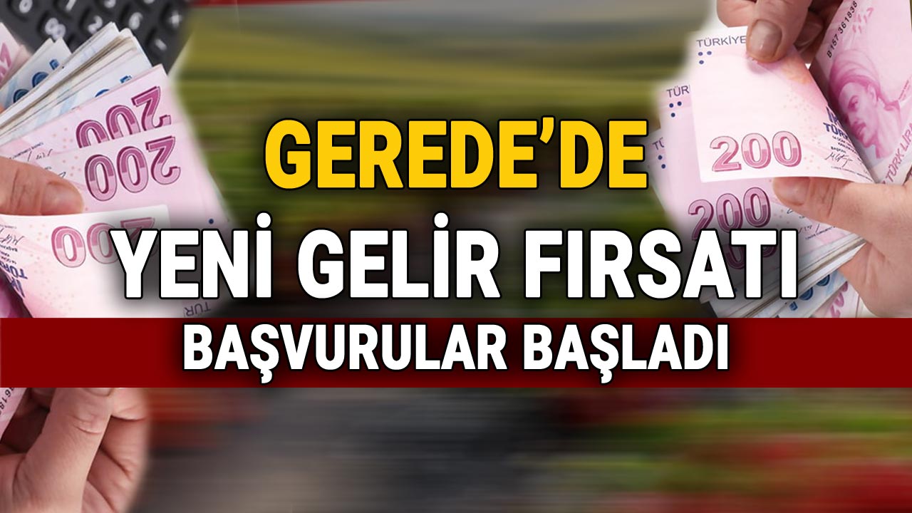 Gerede'de yeni gelir fırsatı, tarım çilek destek