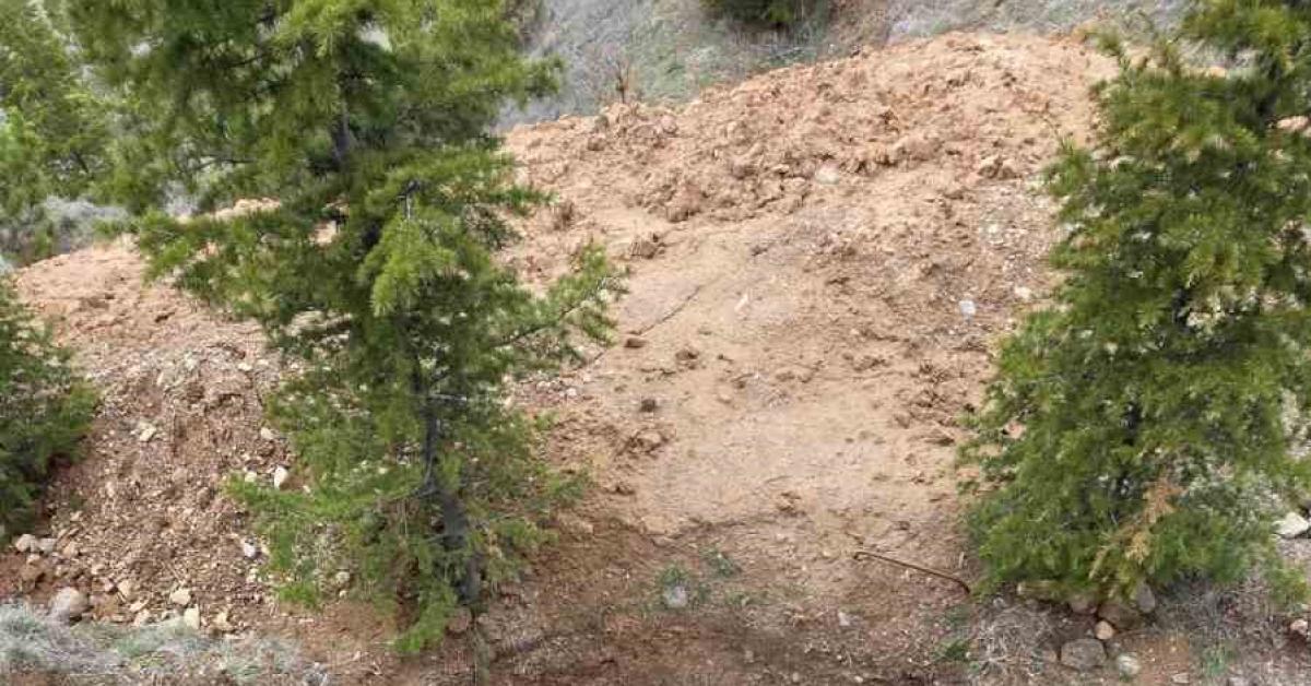 ankara akyurtta sokak kopegi kacak kazi cukuruna dustu UQzTvDNO.jpg