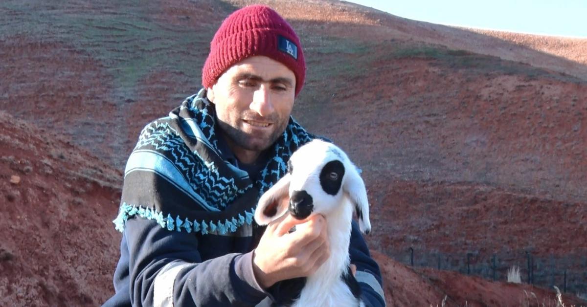 ankara balada sut kuzulari anneleriyle bulusturuldu kmG9F1FK.jpg