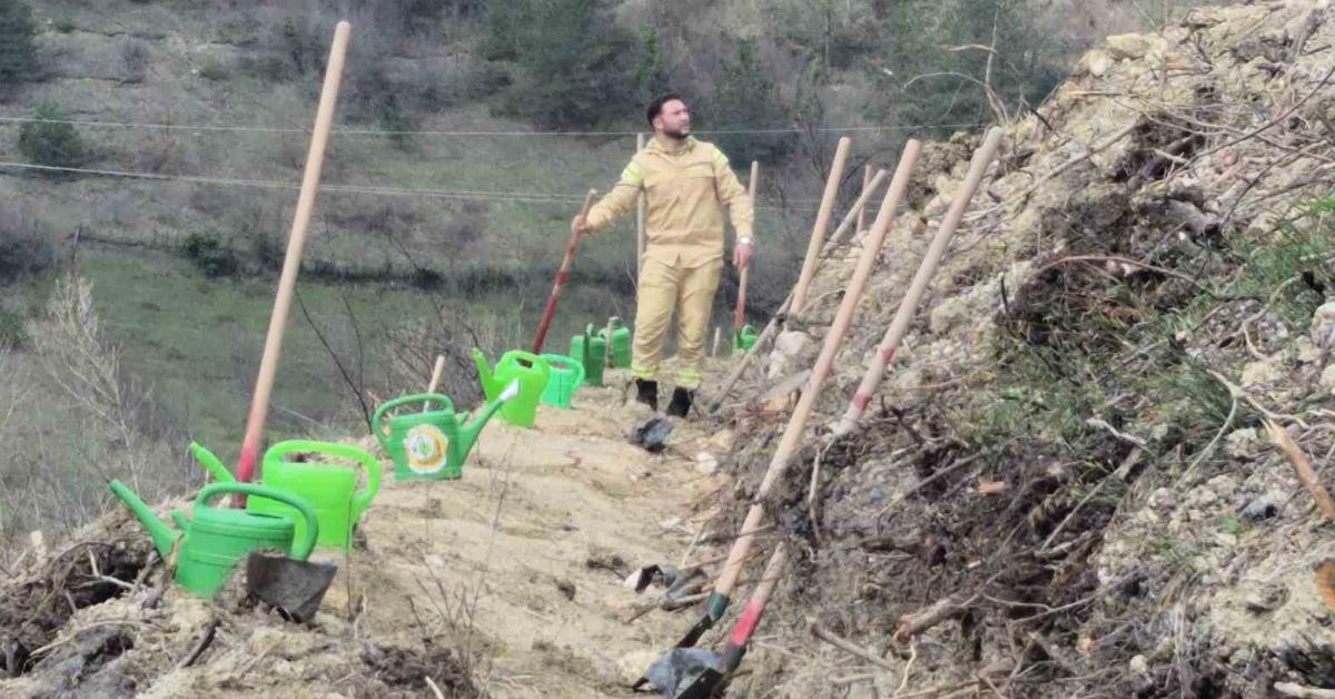 bartinda yanginla kul olan orman alanina 400 fidan dikildi 8lzJBFHS.jpg