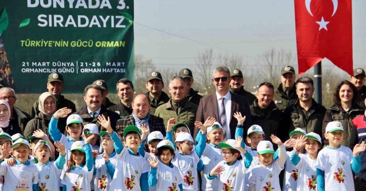 duzcede fidan toprakla bulusturuldu TBb8SbWU.jpg