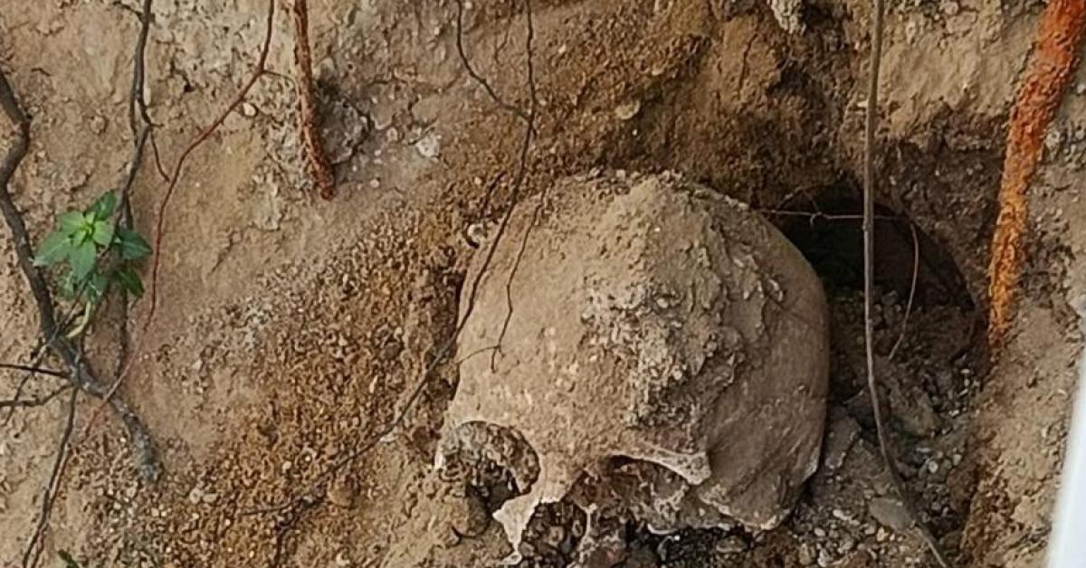 kocaelide bahcede sok insan kafatasi ve kemikler ortaya cikti ikx2Ygih.jpg