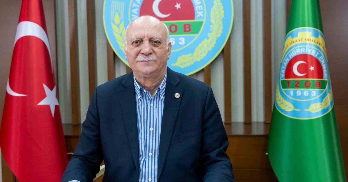 subat ayinda market fiyatlarinda artis en yuksek zam marulda BpNzN2sA.jpg