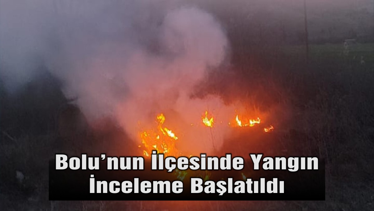 yangın