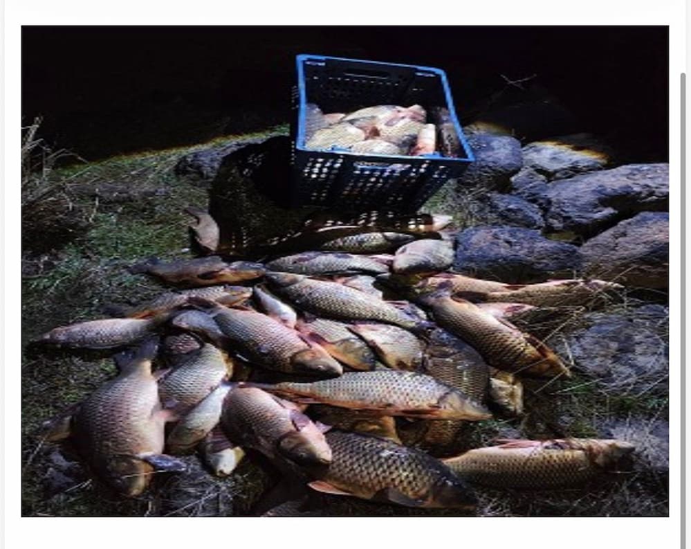 02bafc36 f039 4cf1 a827 fdee13ae3446