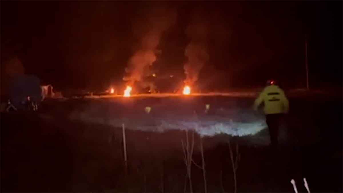 Bolu Zirai Don Lastik