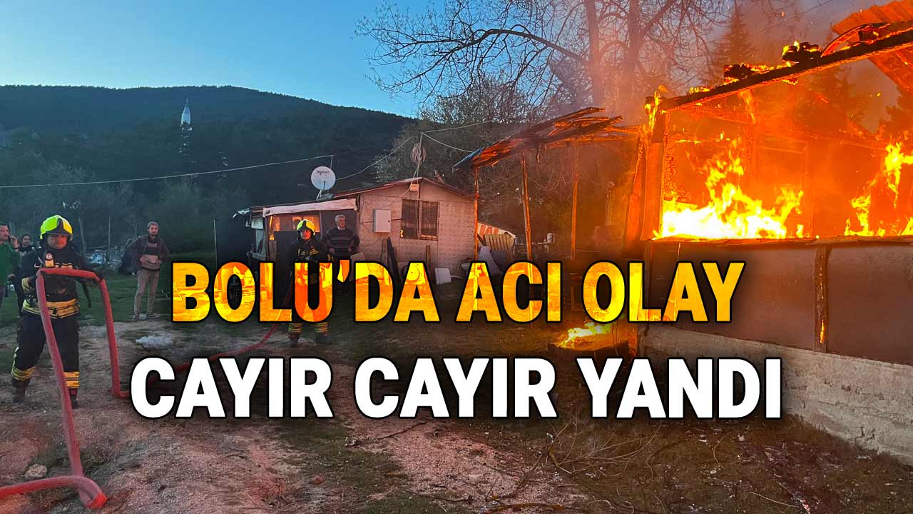 Bolu'da Acı Olay, Cayır Cayır Yandı