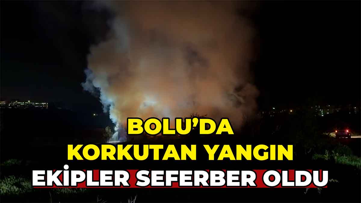 Bolu'da Korkutan Yangın