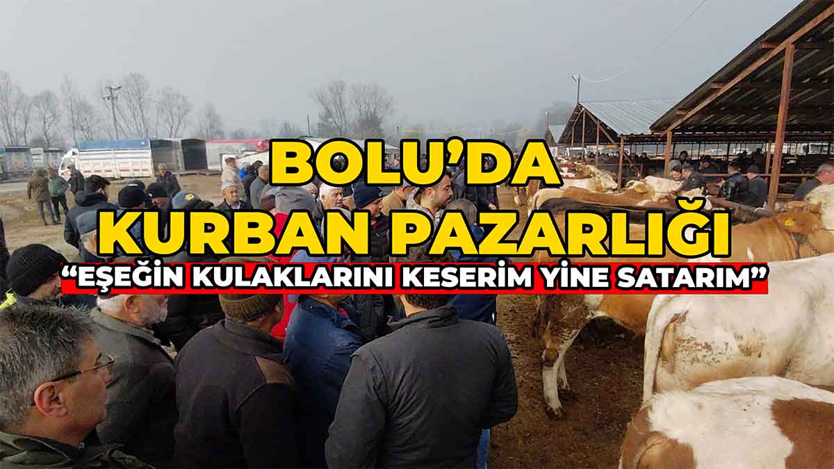 Bolu’da Kurban Pazarı Alevlendi