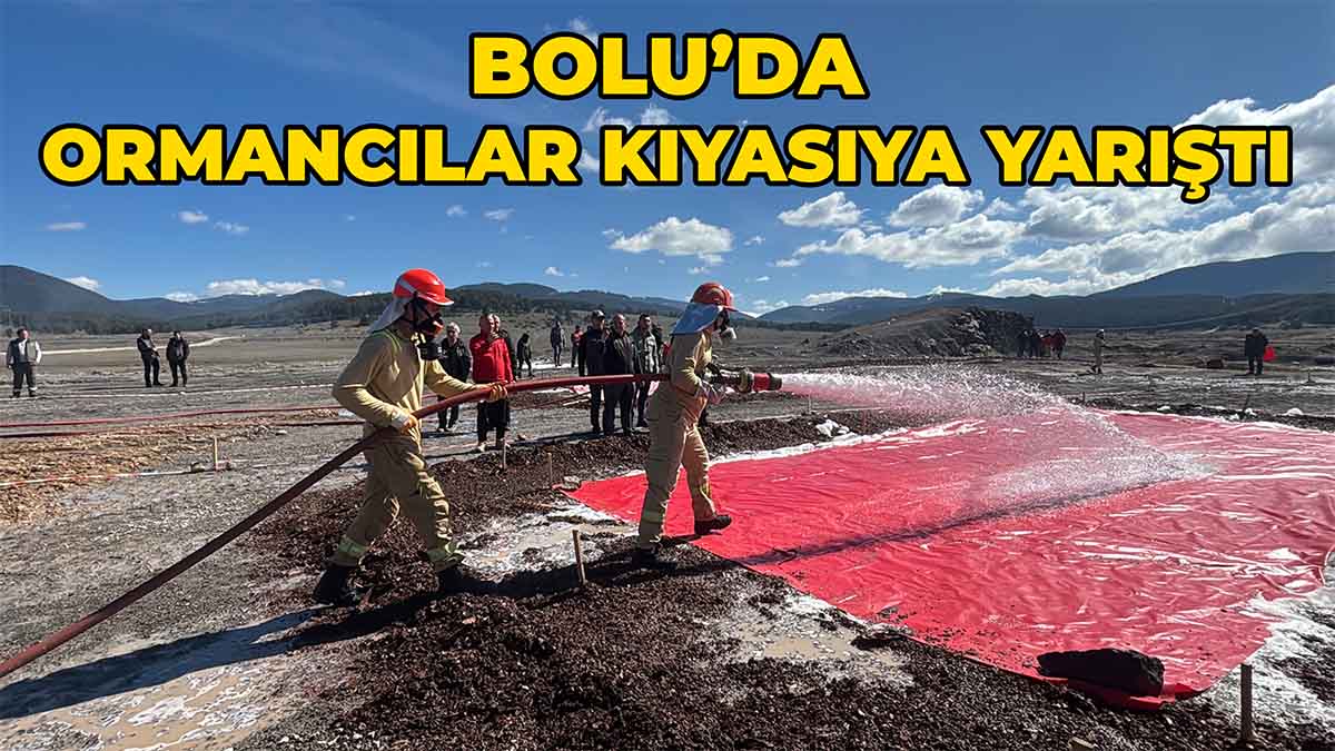 Bolu’da Ormancılar Kıyasıya Yarıştı