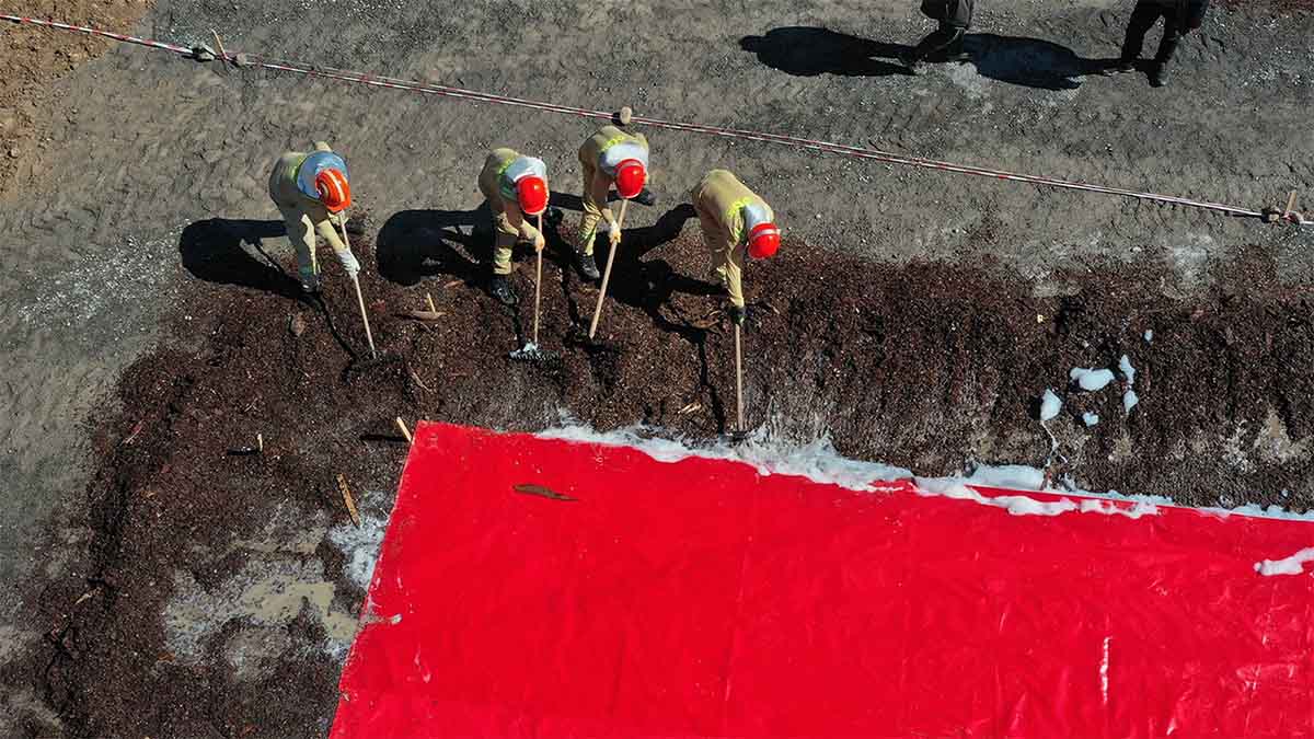 Bolu’da Ormancılar Kıyasıya Yarıştı2