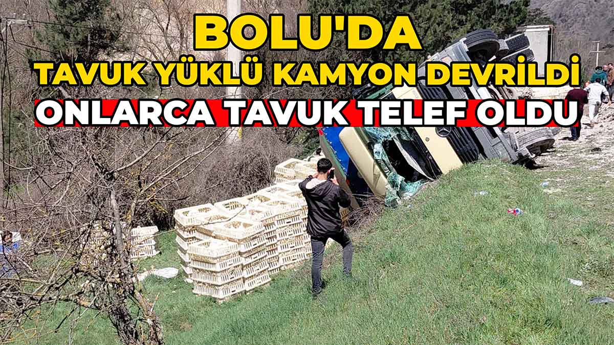 Bolu'da Tavuk Yüklü Kamyon Devrildi