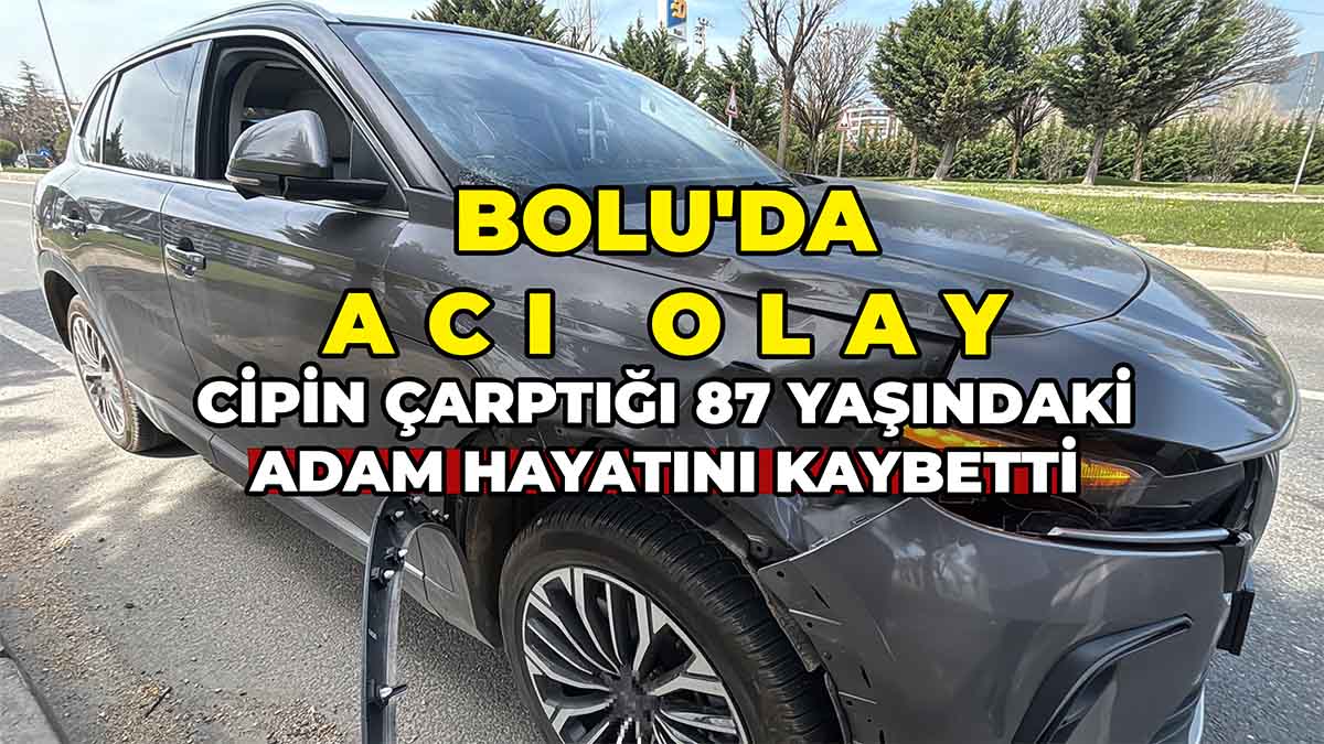 Cipin Çarptığı 87 Yaşındaki Adam Hayatını Kaybetti