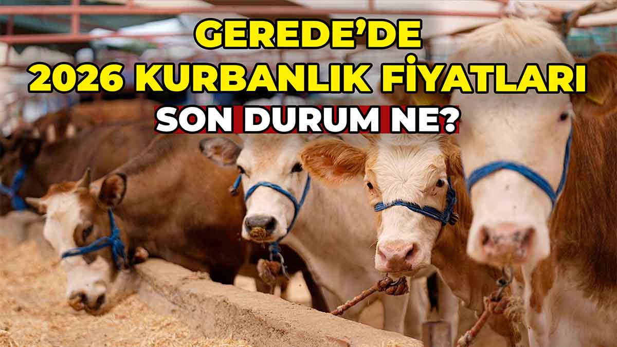 Gerede’de 2026 Kurban Fiyatları