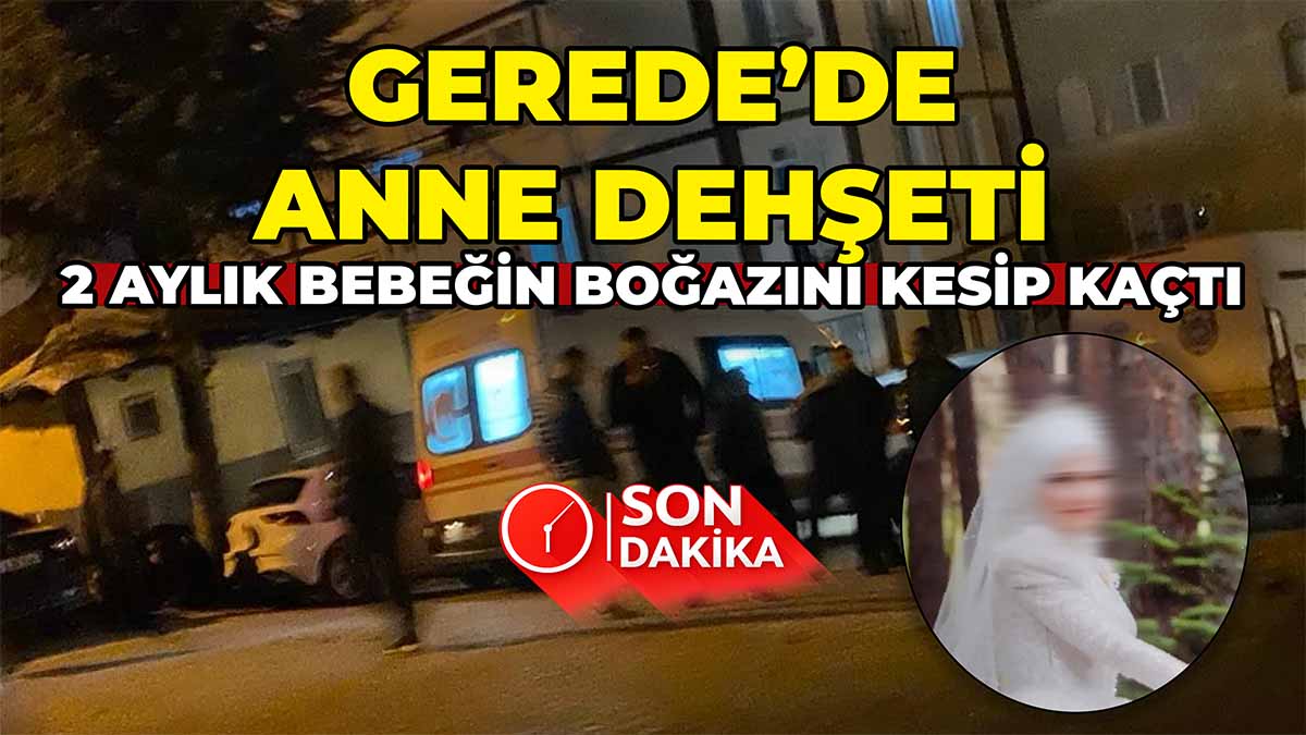 Gerede'de Anne Dehşeti 3