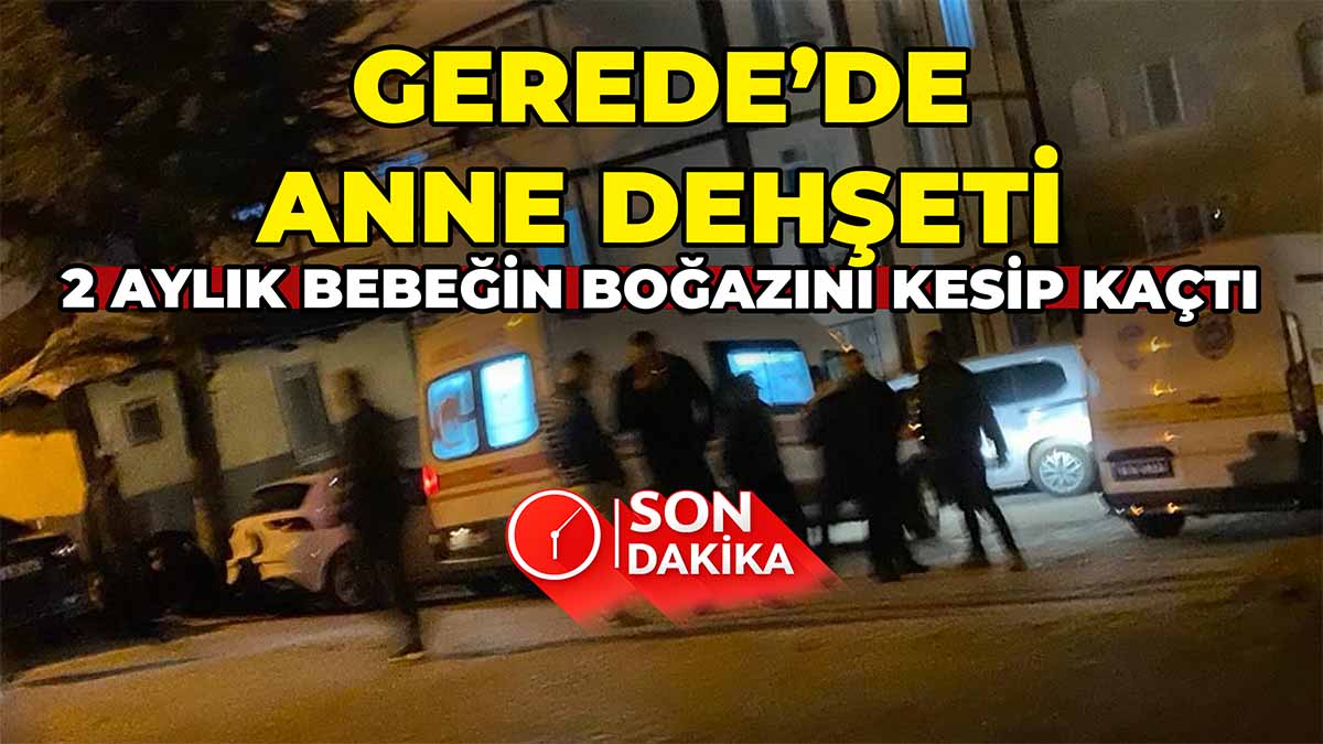 Gerede’de Anne Dehşeti2