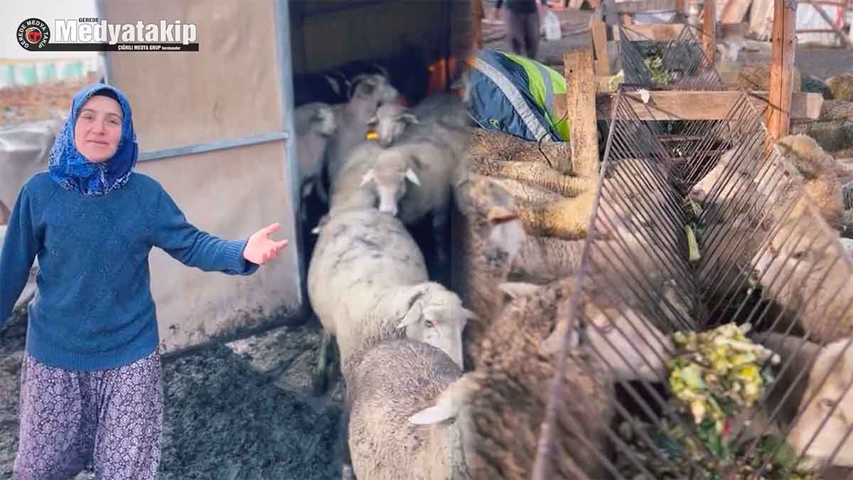 Gerede’de İlham Veren Başarı Hikayesi 4