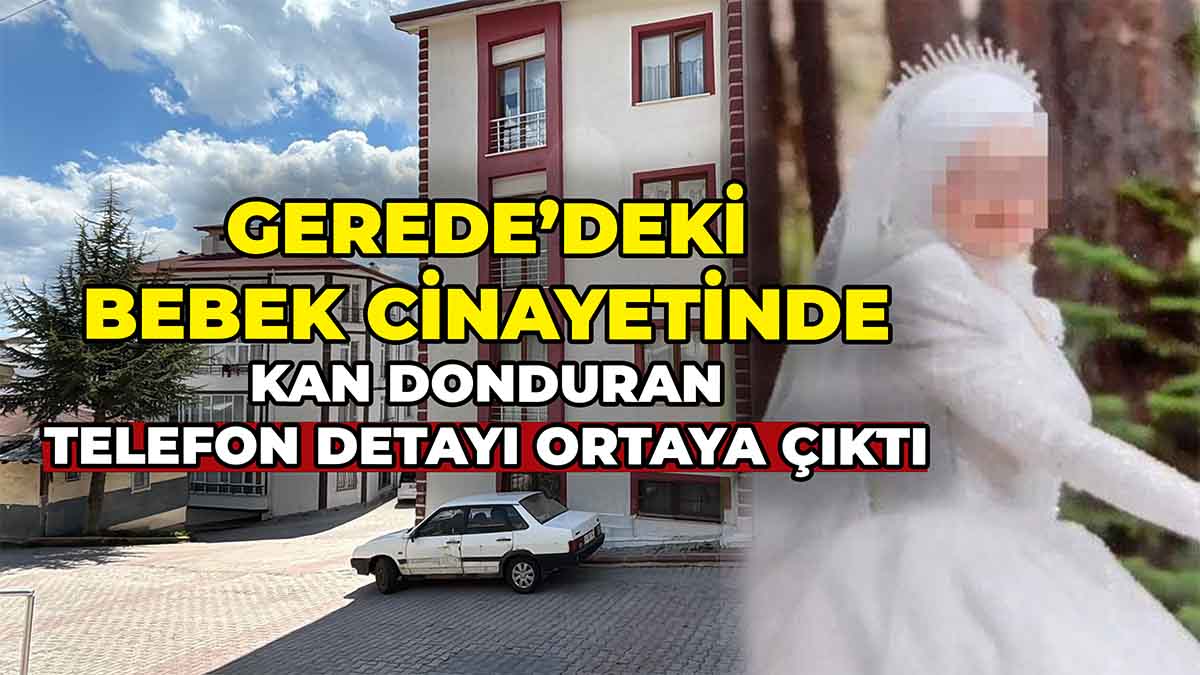 Gerede'de Kan Donduran Detay