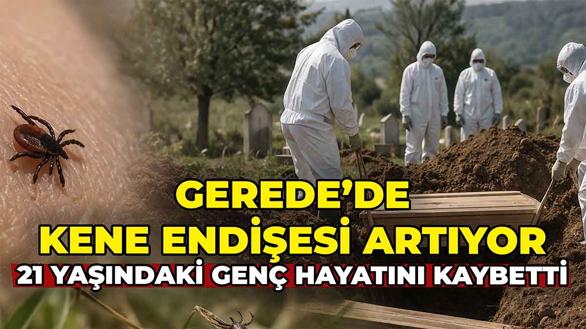 Gerede’de Kene Endişesi Artıyor