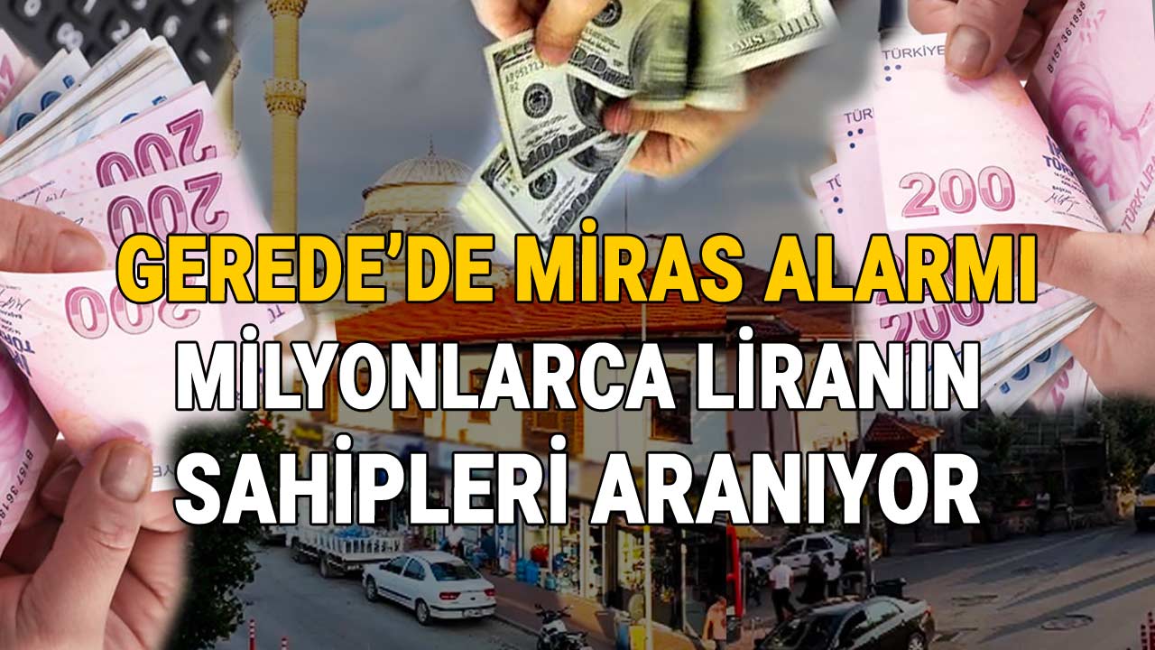 Gerede'de Miras Alarmı