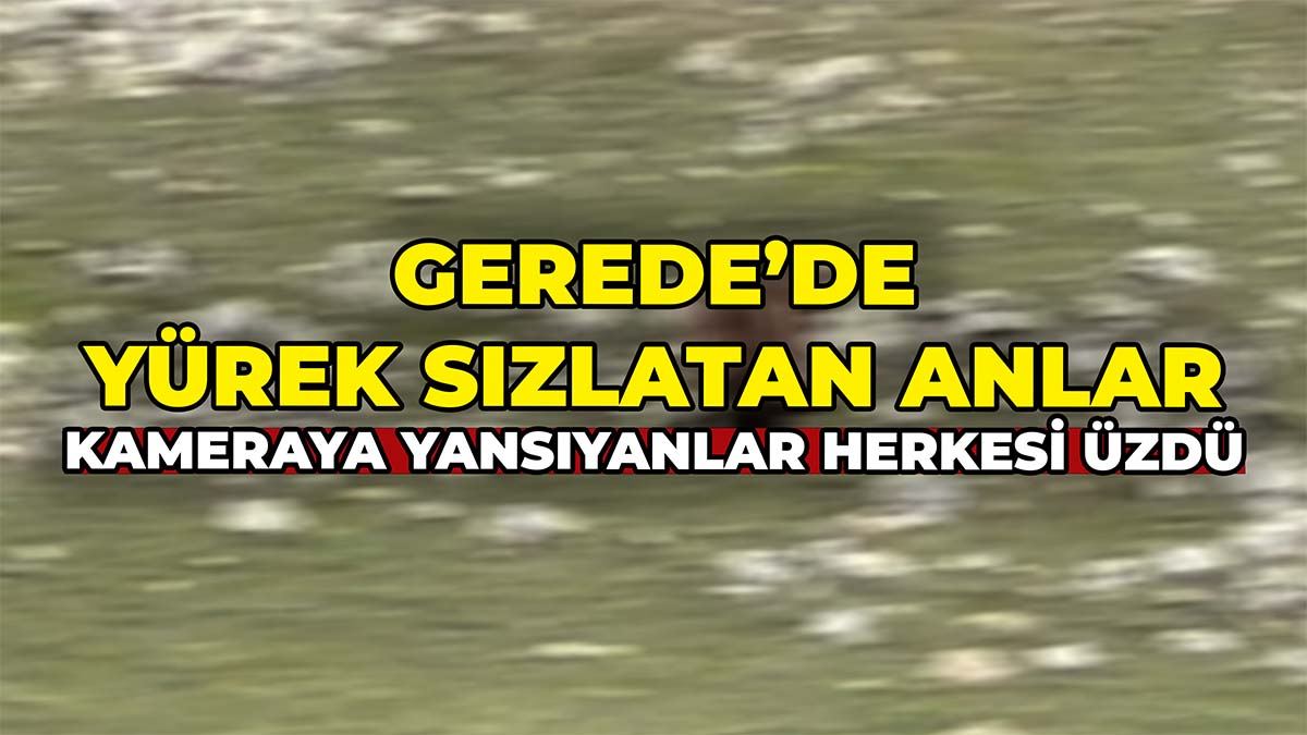 Gerede’de Yürek Sızlatan Anlar