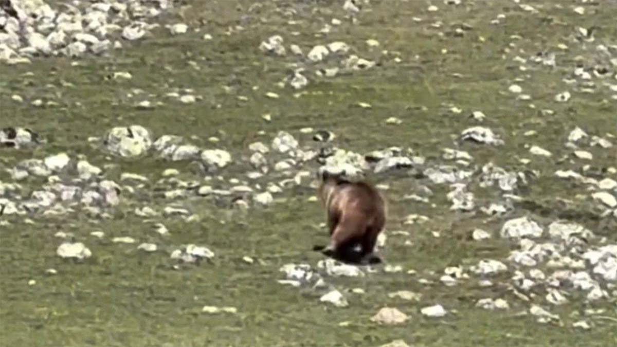 Gerede’de Yürek Sızlatan Anlar2