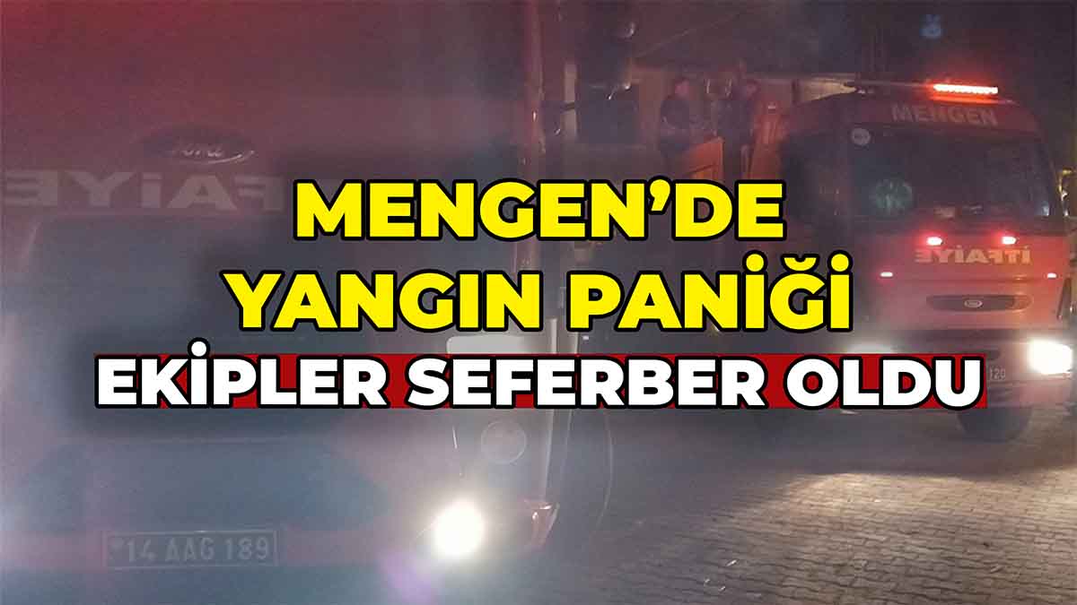 Mengen’de Yangın Paniği