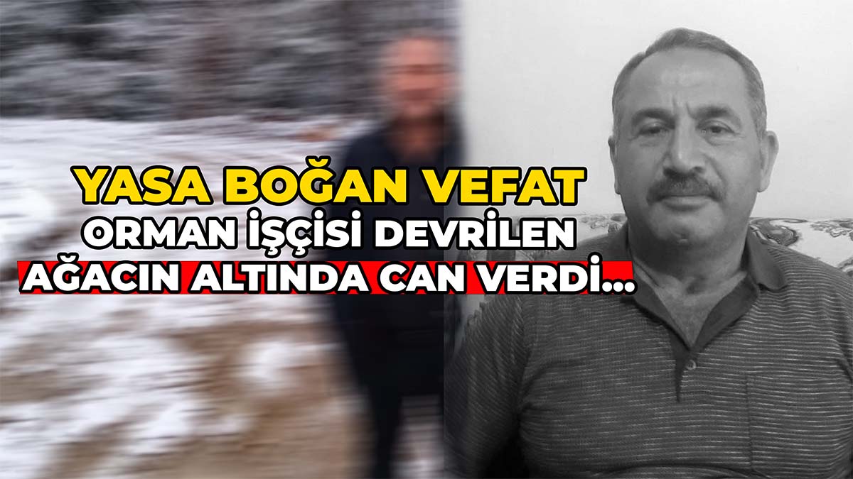 Orman İşçisi Devrilen Ağacın Altında Kaldı