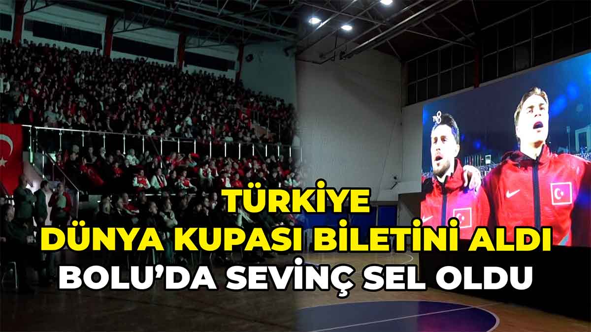 Türkiye Dünya Kupası Biletini Aldı