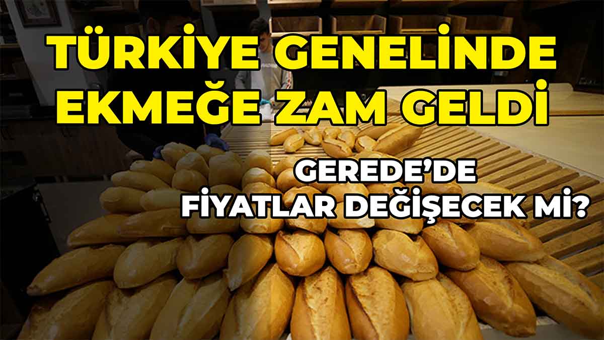 Türkiye’de Ekmeğe Zam Geldi Gerede’de Ekmek Fiyatı Ne Kadar?
