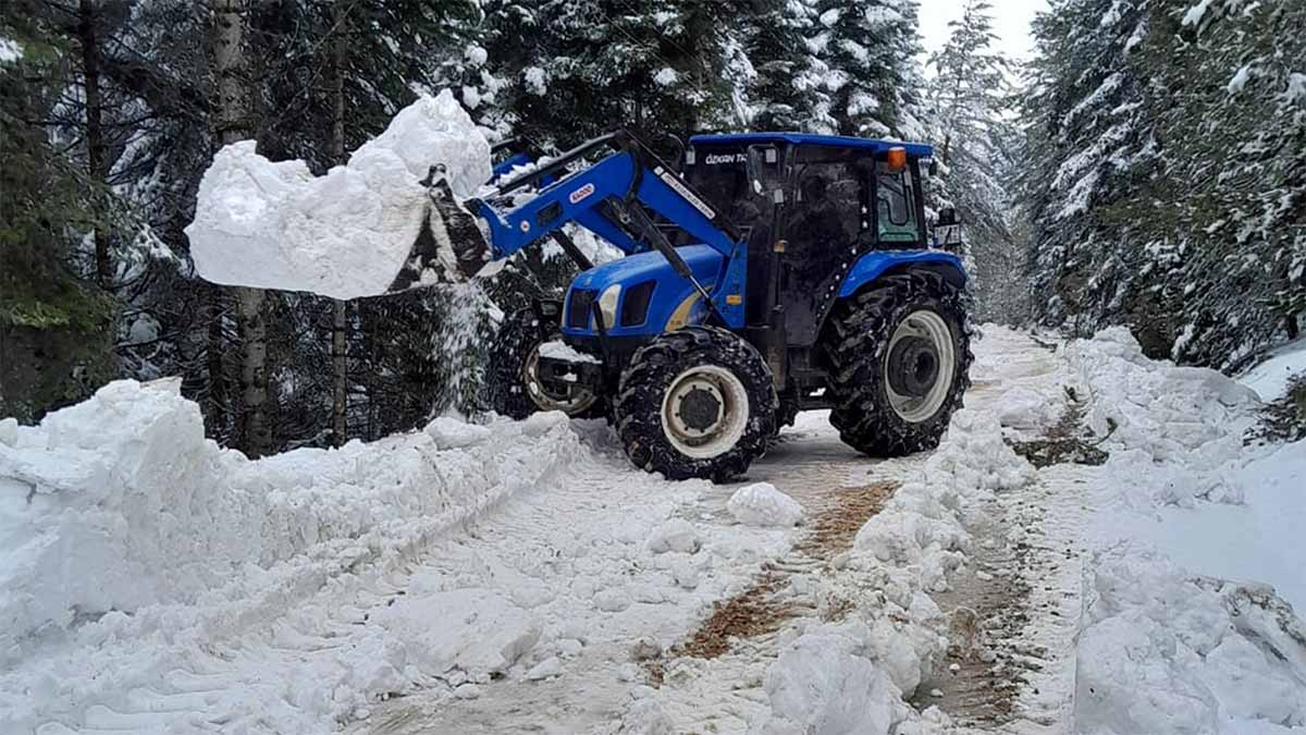 Yayla yolu kapandı
