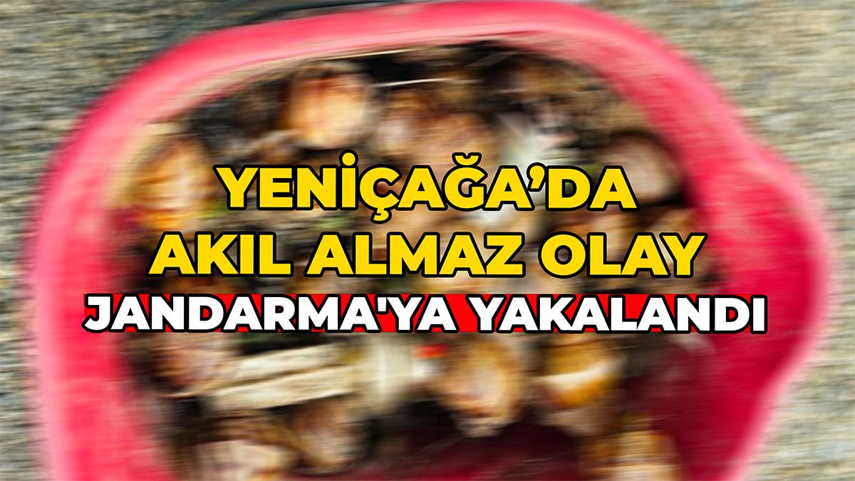 Yeniçağa’da Akıl Almaz Olay