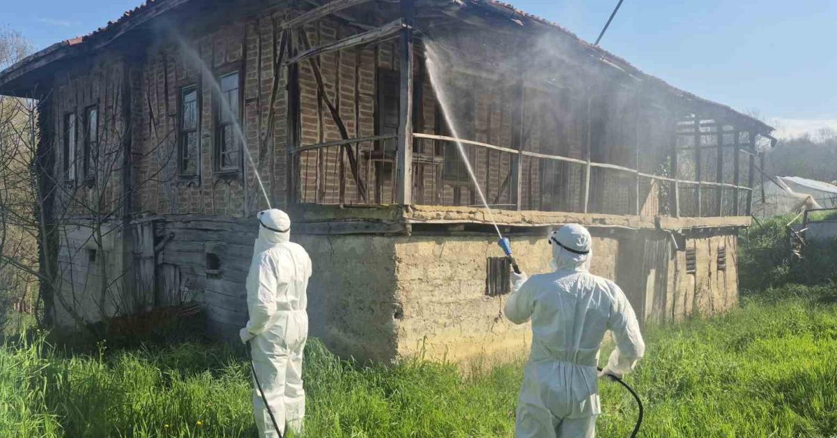 bartinda mucadele yeniden basladi gkyiZCkZ.jpg